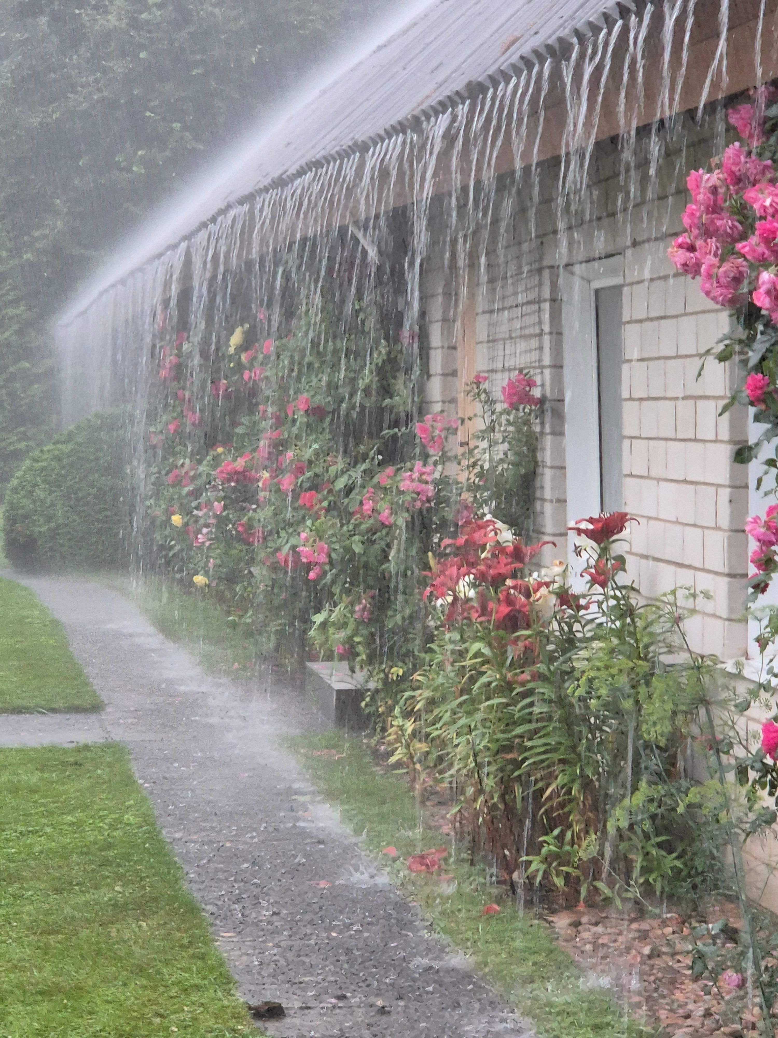 Ka vihm on ilus suve osa