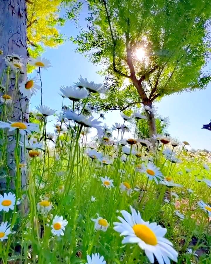 Sellest saab meie suvi! 