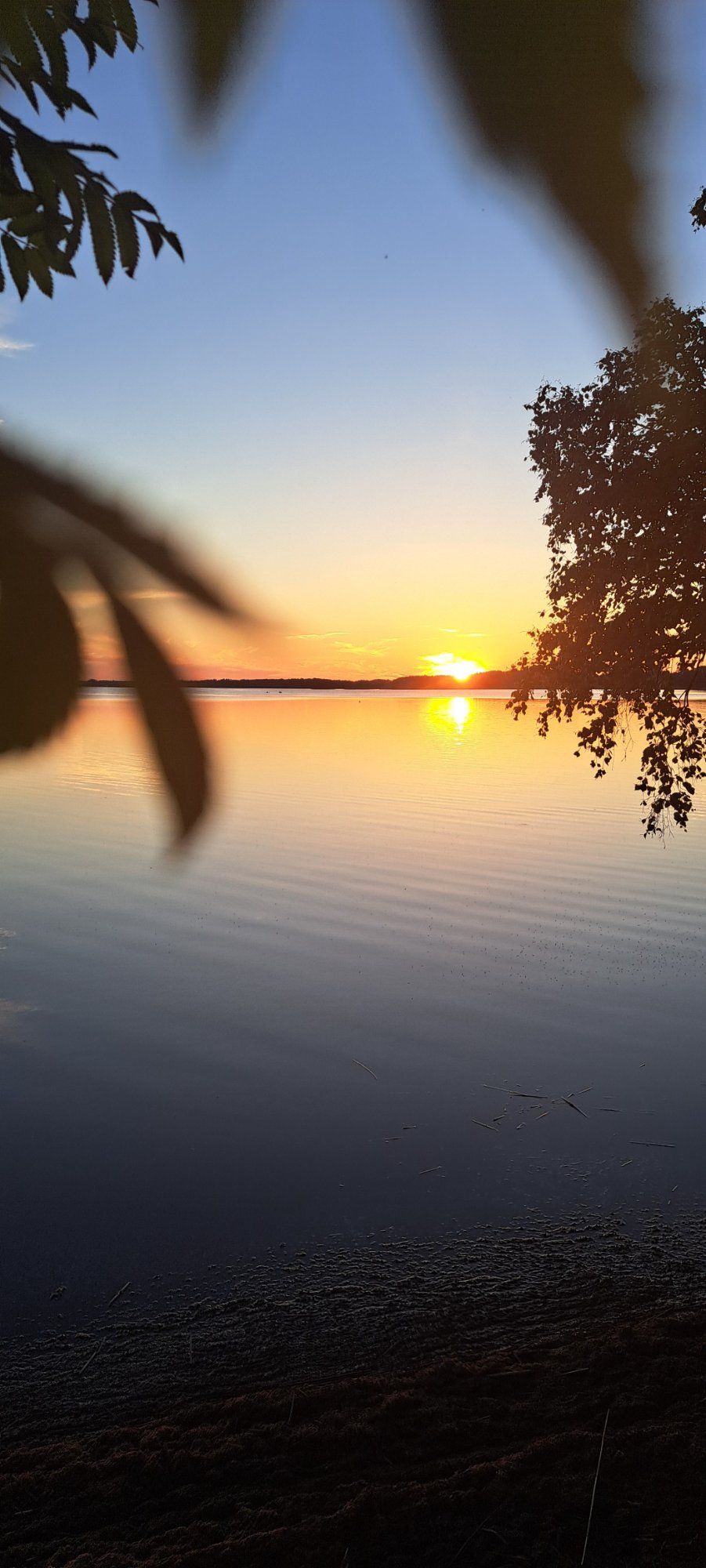 Kui päike puudutab vett