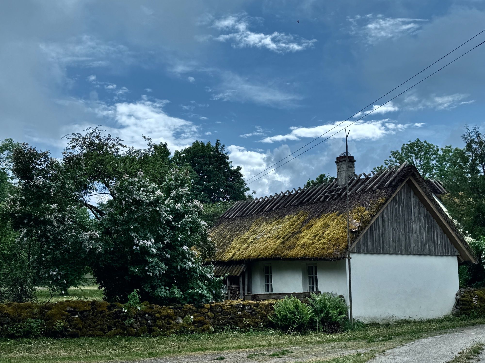 Koguva, Muhu