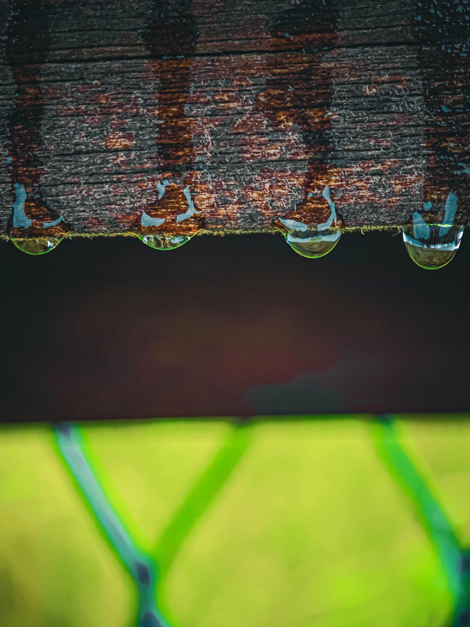 Neli sõpra vihmast Jaanipäeva nautimas. 💧🌧️