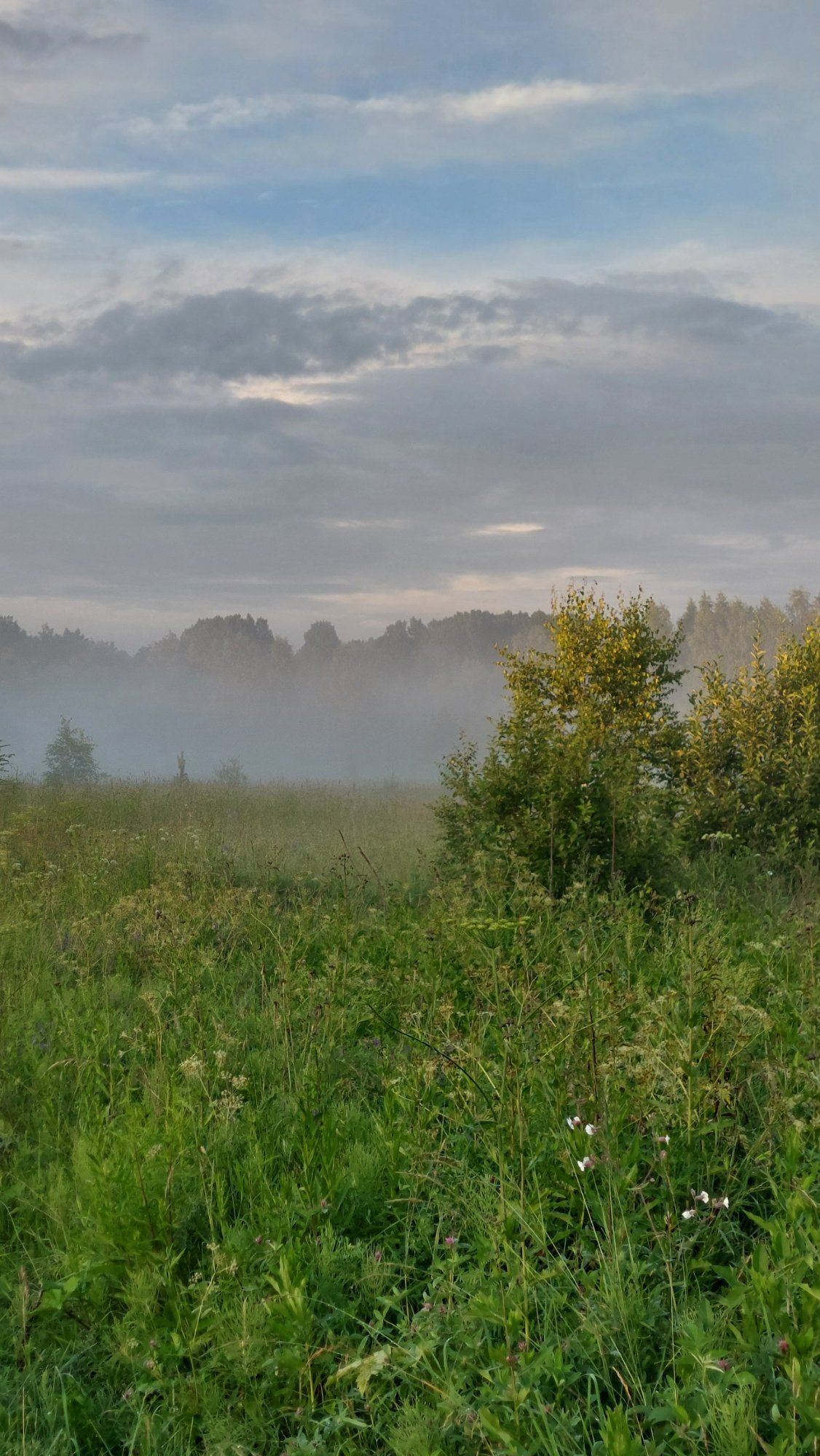 Udune õhtu