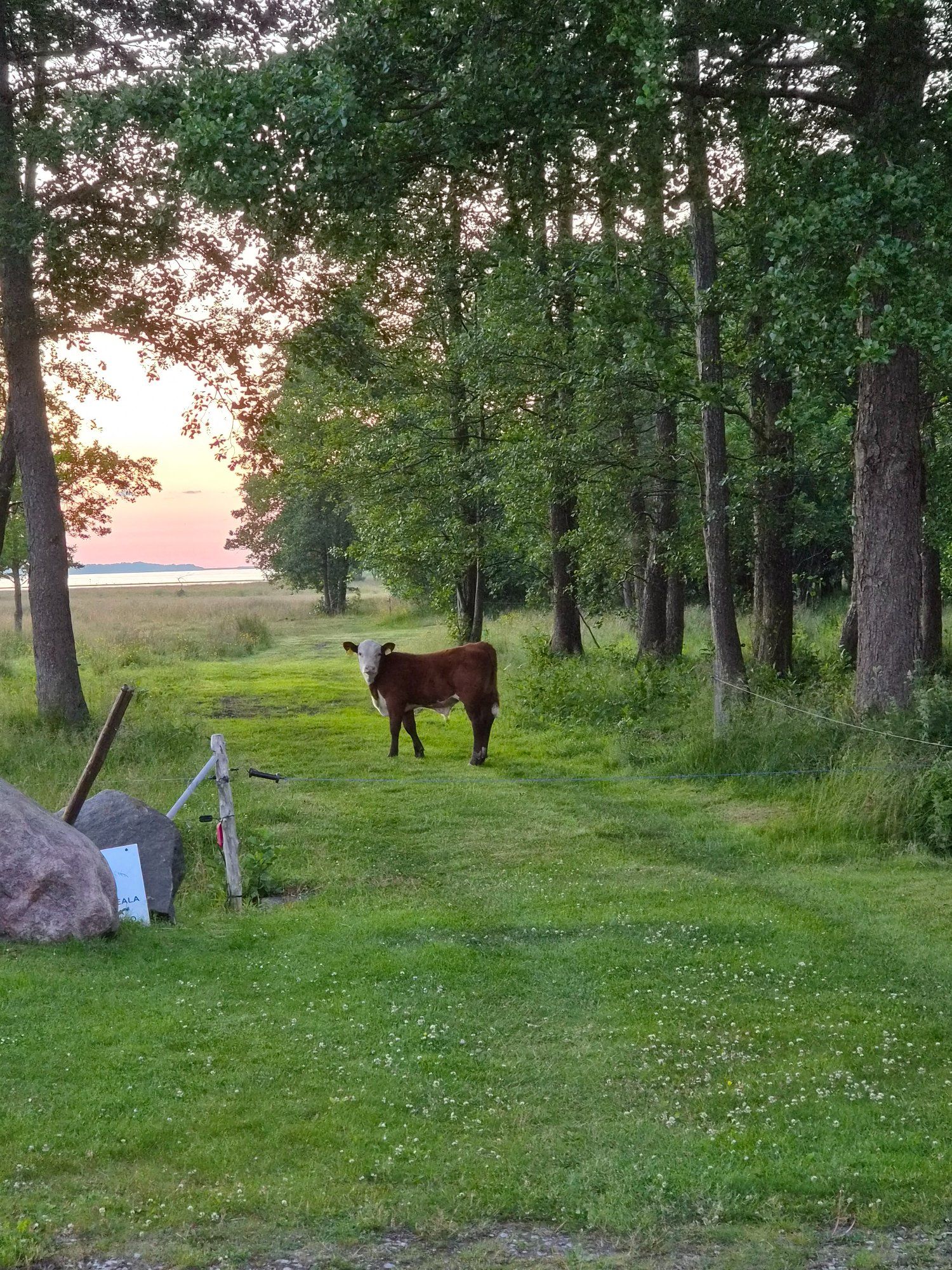  Veise ja päikeseloojangu nautimime , ilusal suveõhtul.
