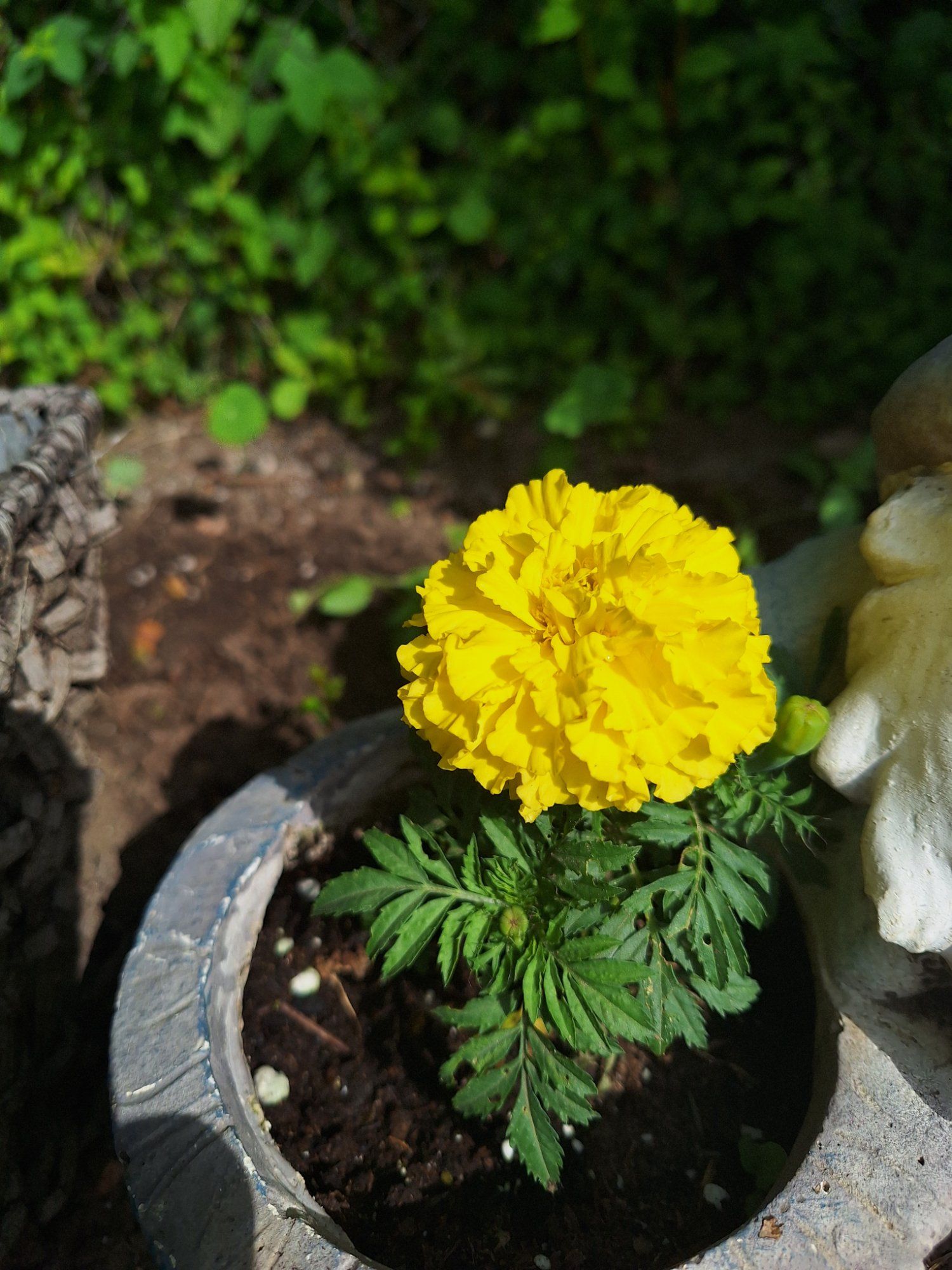 Oma aia ilu.
