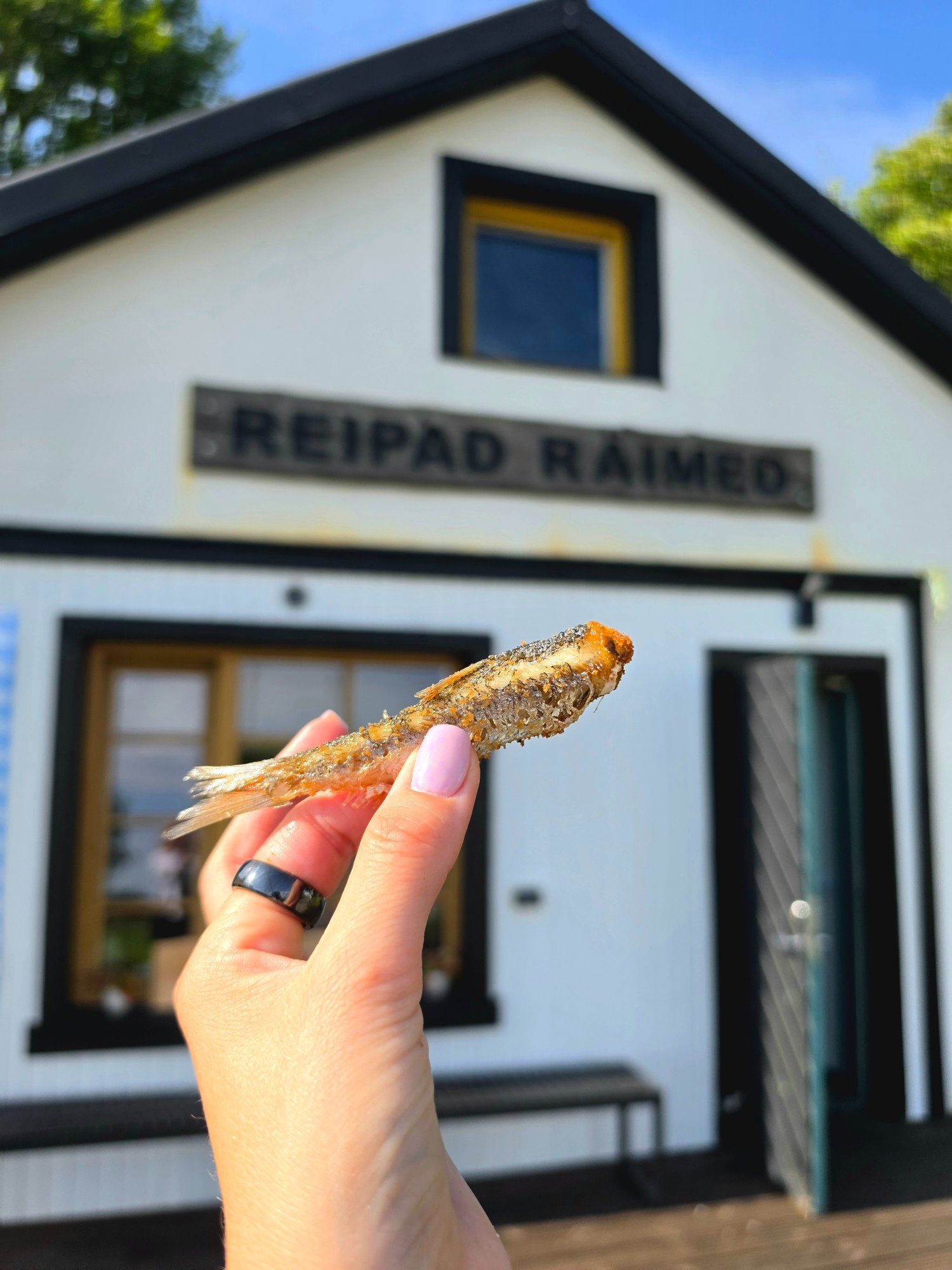 Vägagi reibas räim