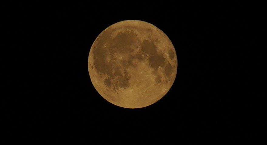 Juuli täiskuu (ingl Buck Moon) ehk sokukuu Metsanurme külas. Sokukuu on nime saanud hirve järgi, kellel hakkavad juulis uued sarved kasvama.