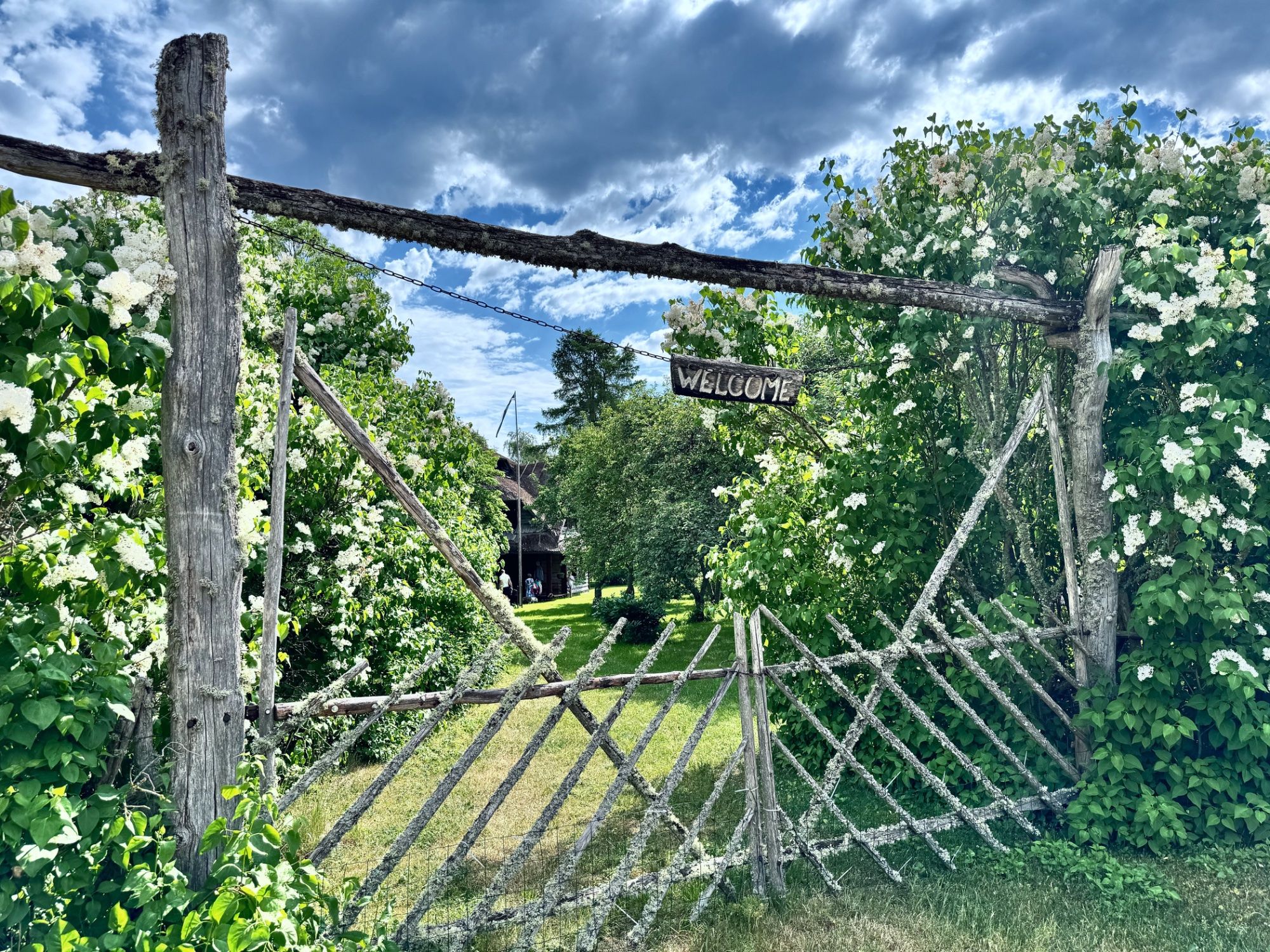 Tere tulemast, Saaremaa! 