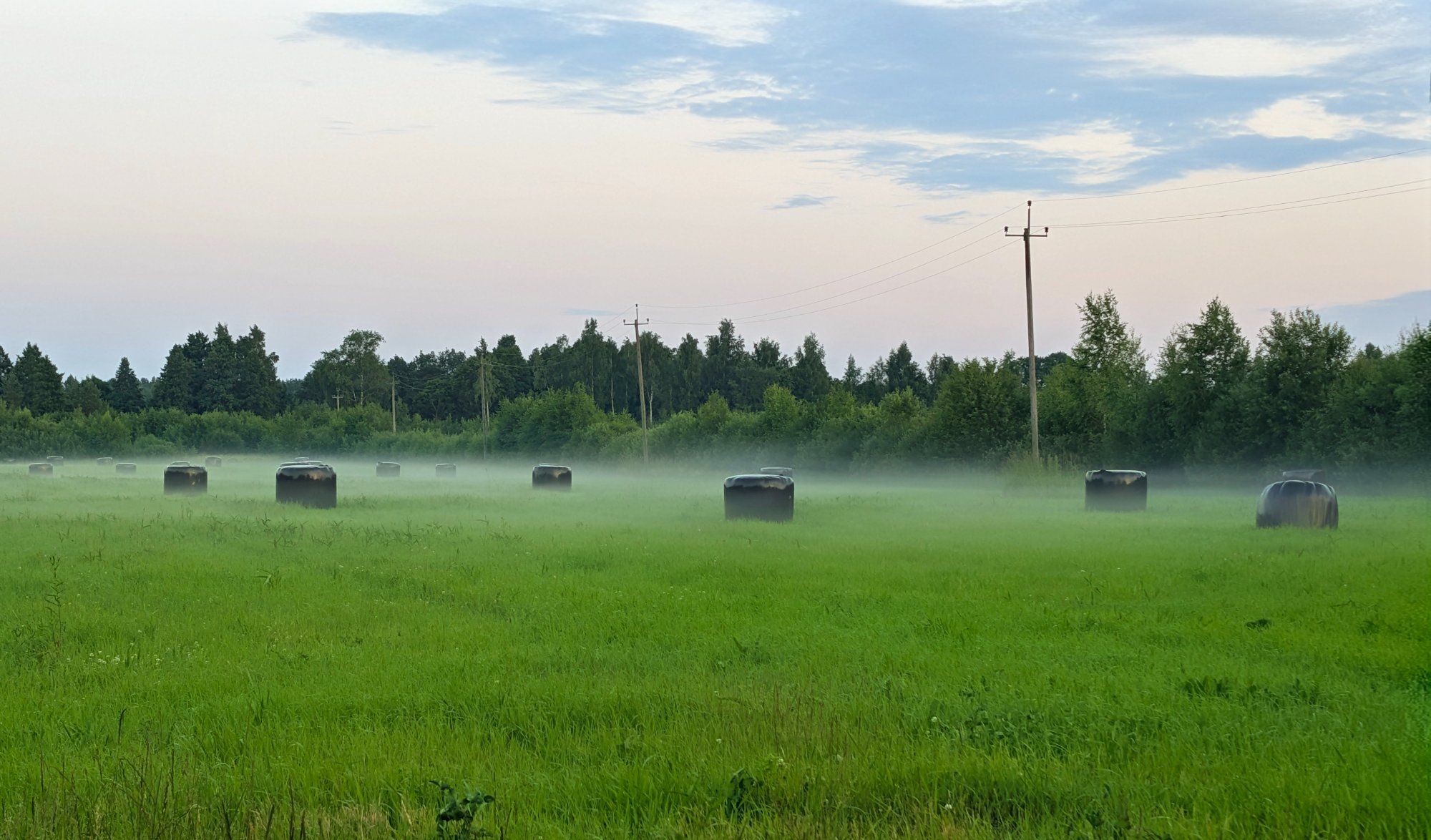 Suveõhtu udu.