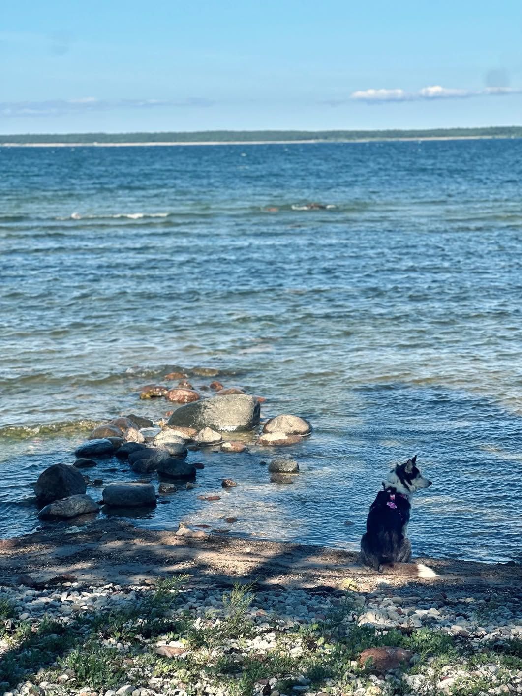 Nora suvist vaadet nautimas