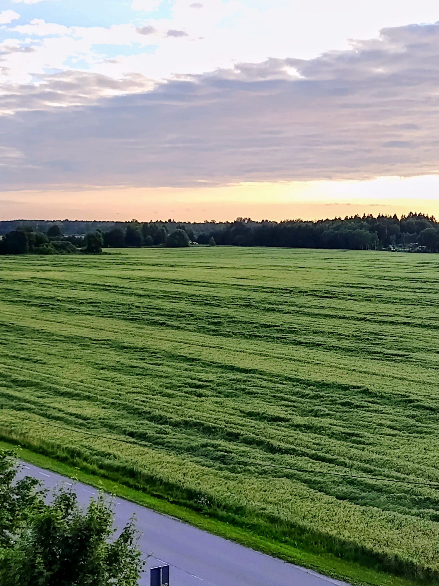 Viljapõld peale suurt vihma.