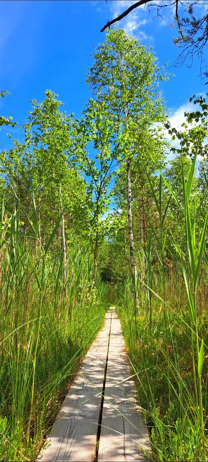 Väike jalutuskäik