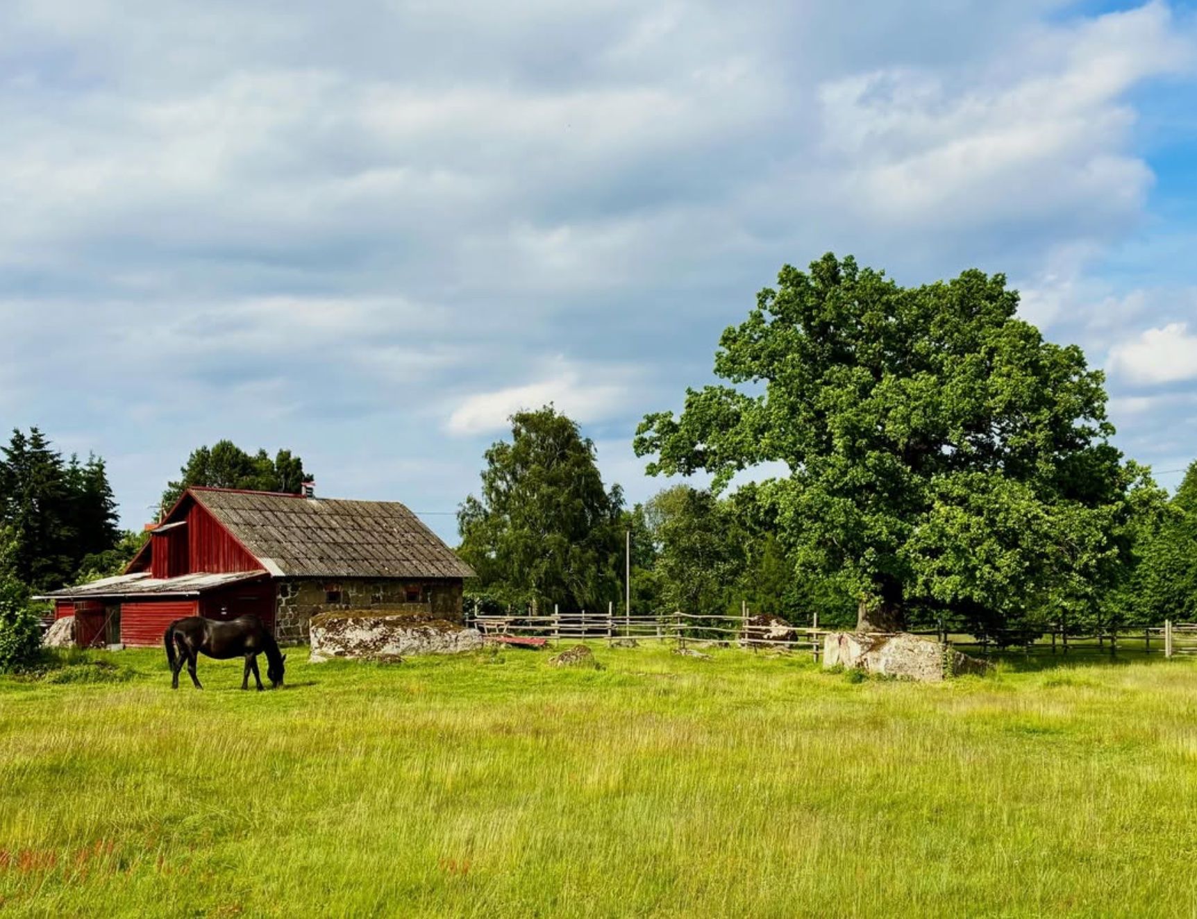 Jaanipäeva eel, teel Randvere Jaanikule...