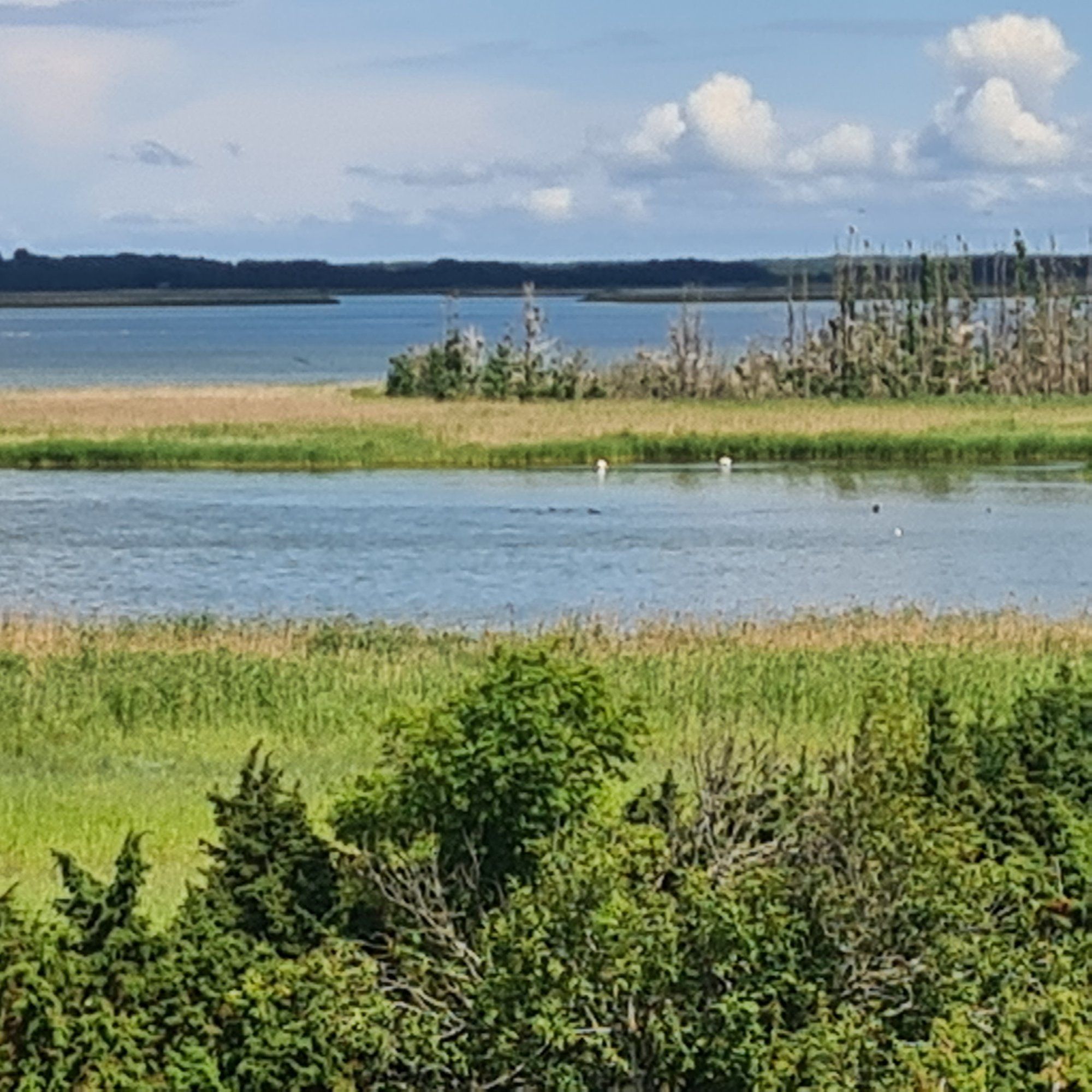Käina laht