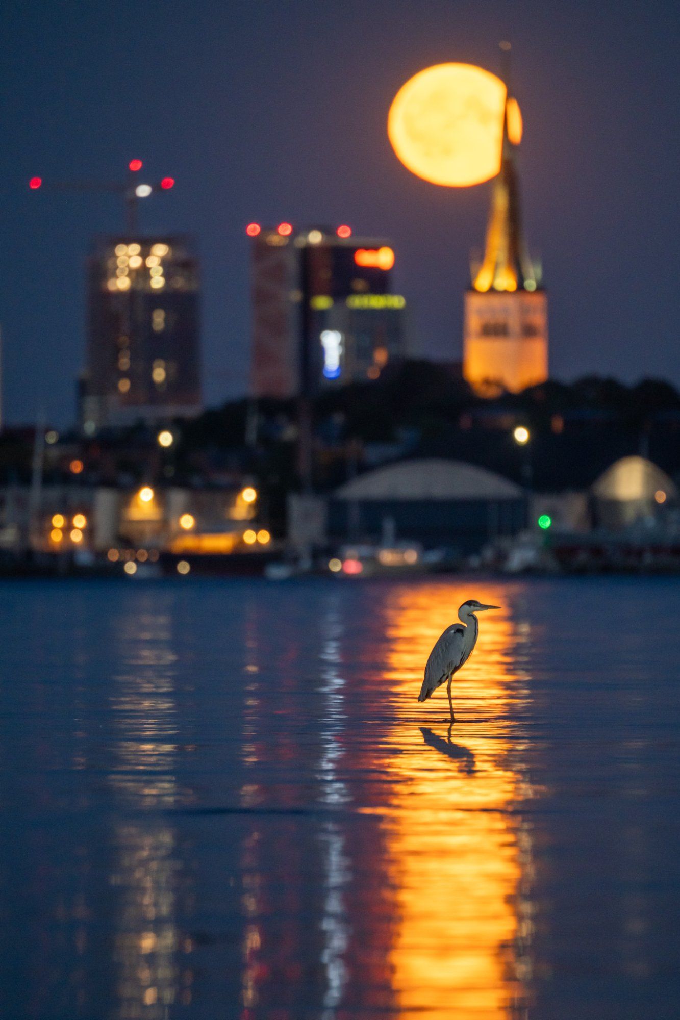 Suveöö Tallinna lahel