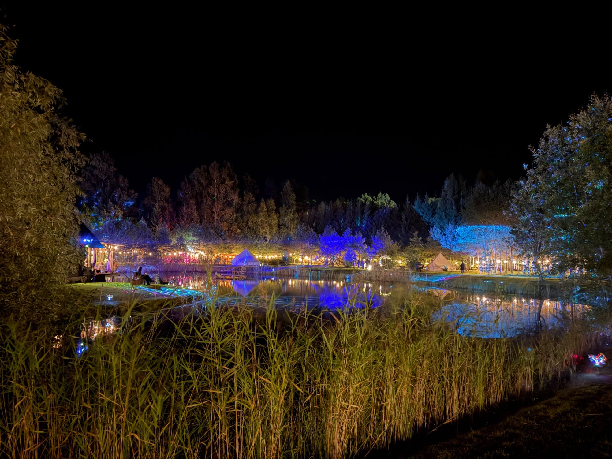 Festivalisuvi
