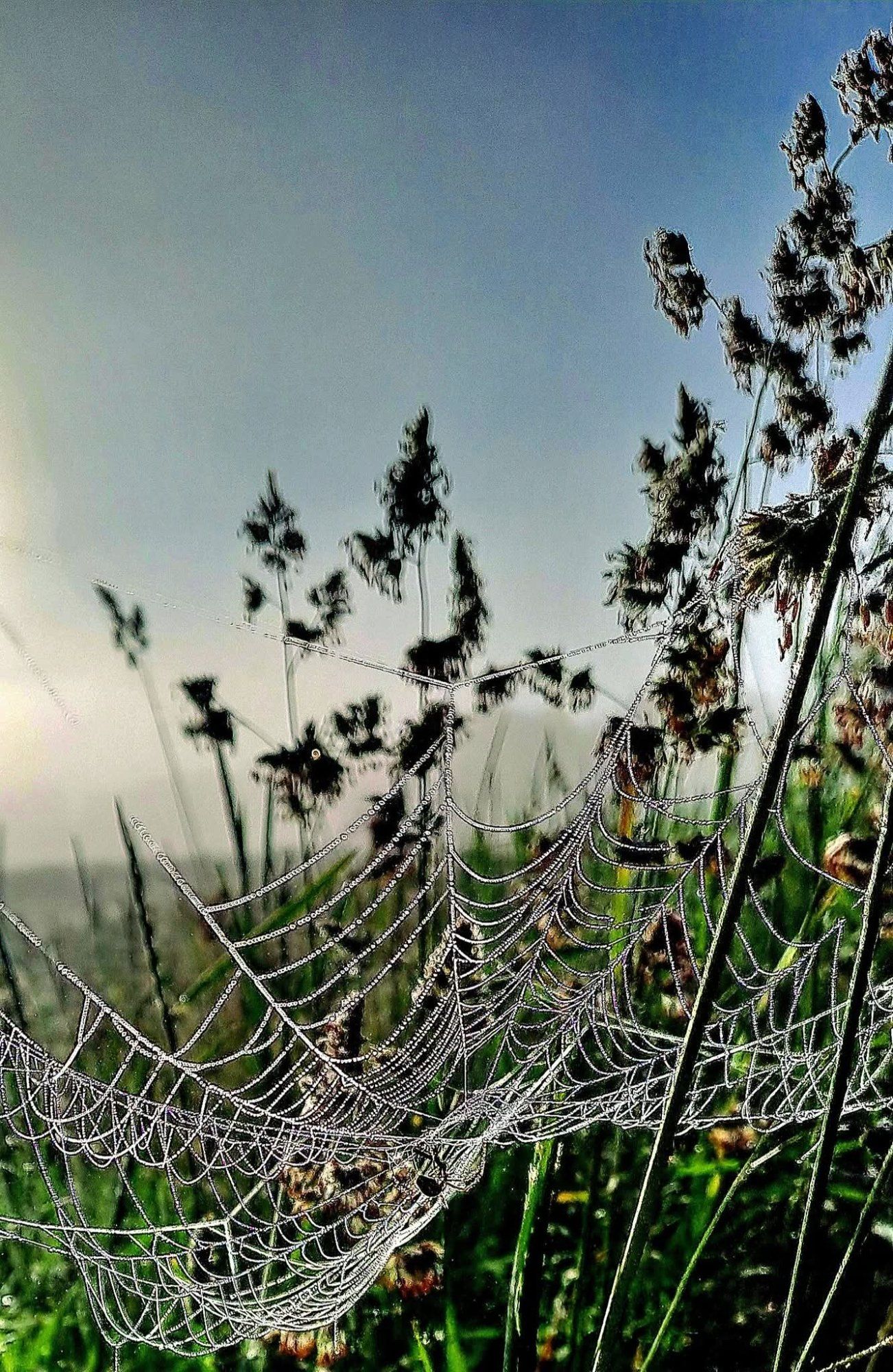Võrgutav suvi!