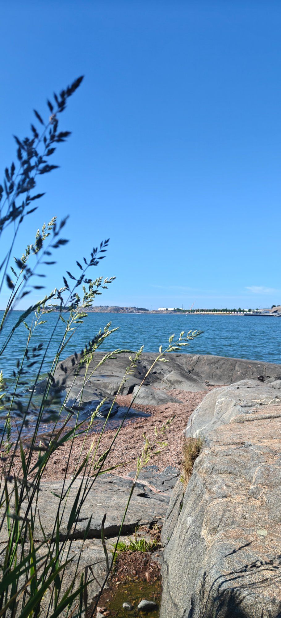 Suvi Helsingis