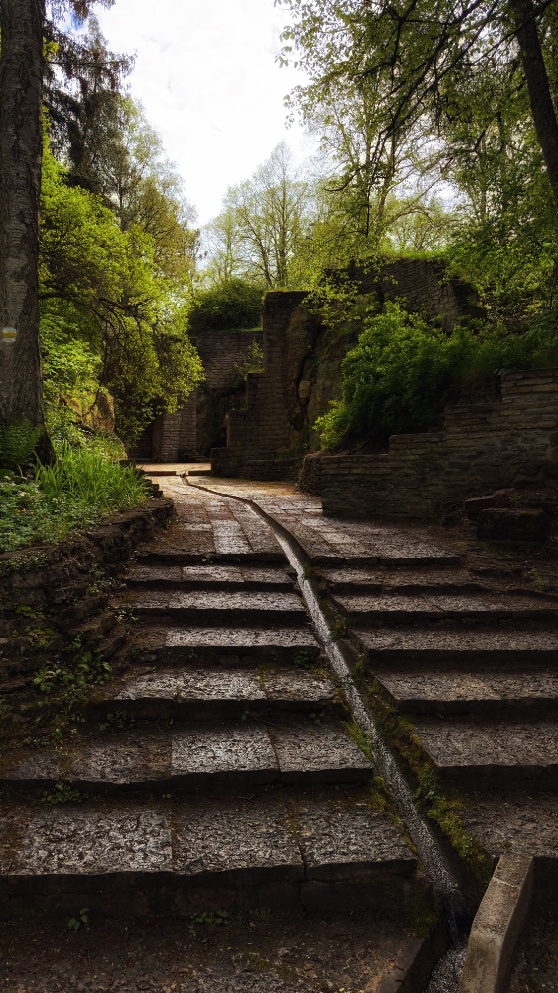 Peidetud aare