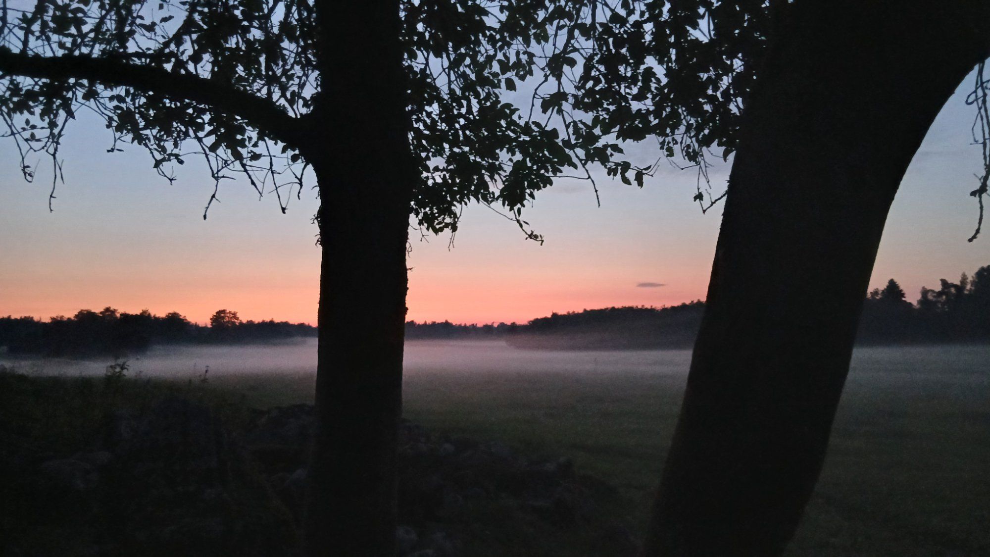 Udu roomas mööda põldu