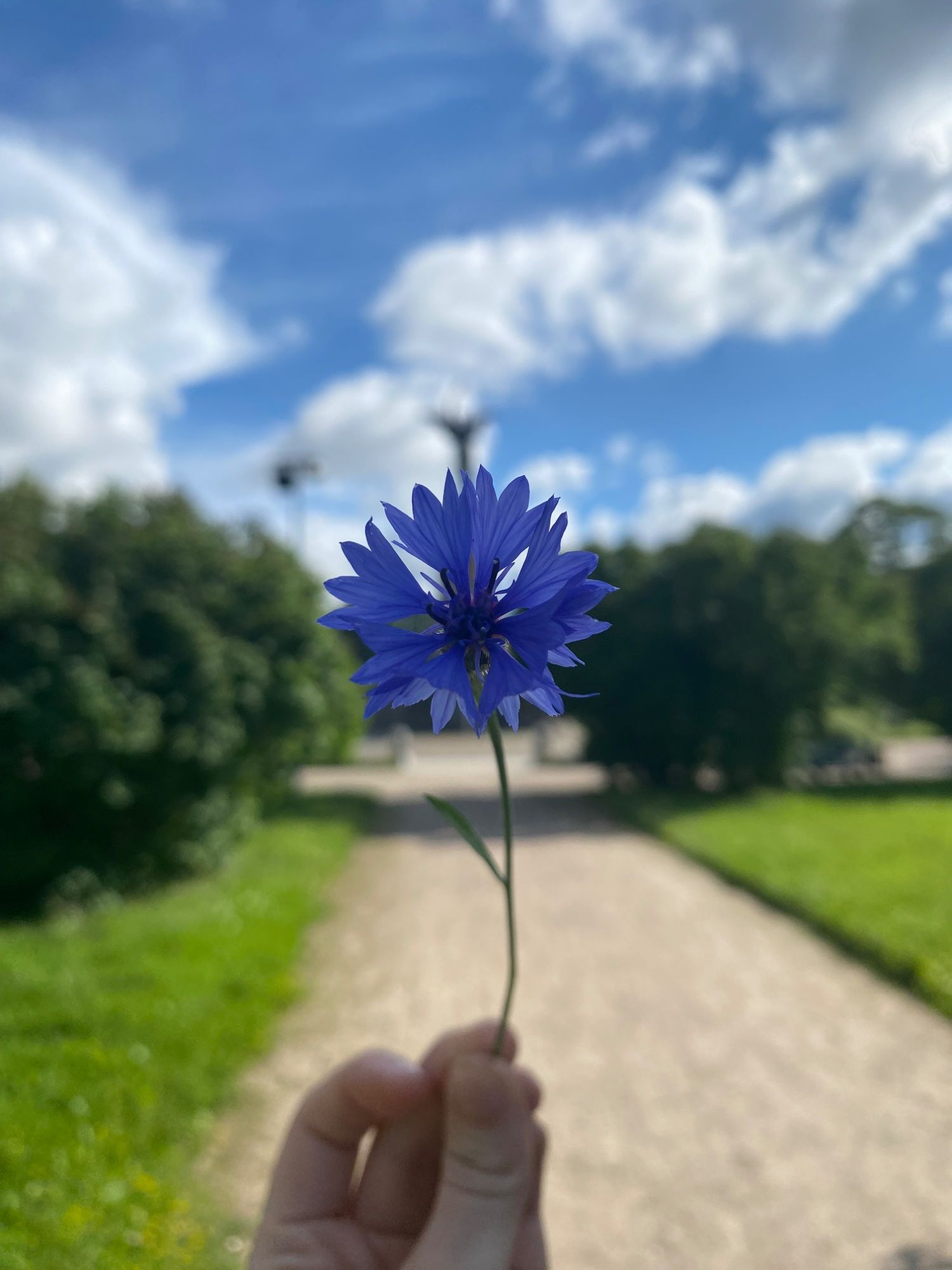 Eesti suve klassika.