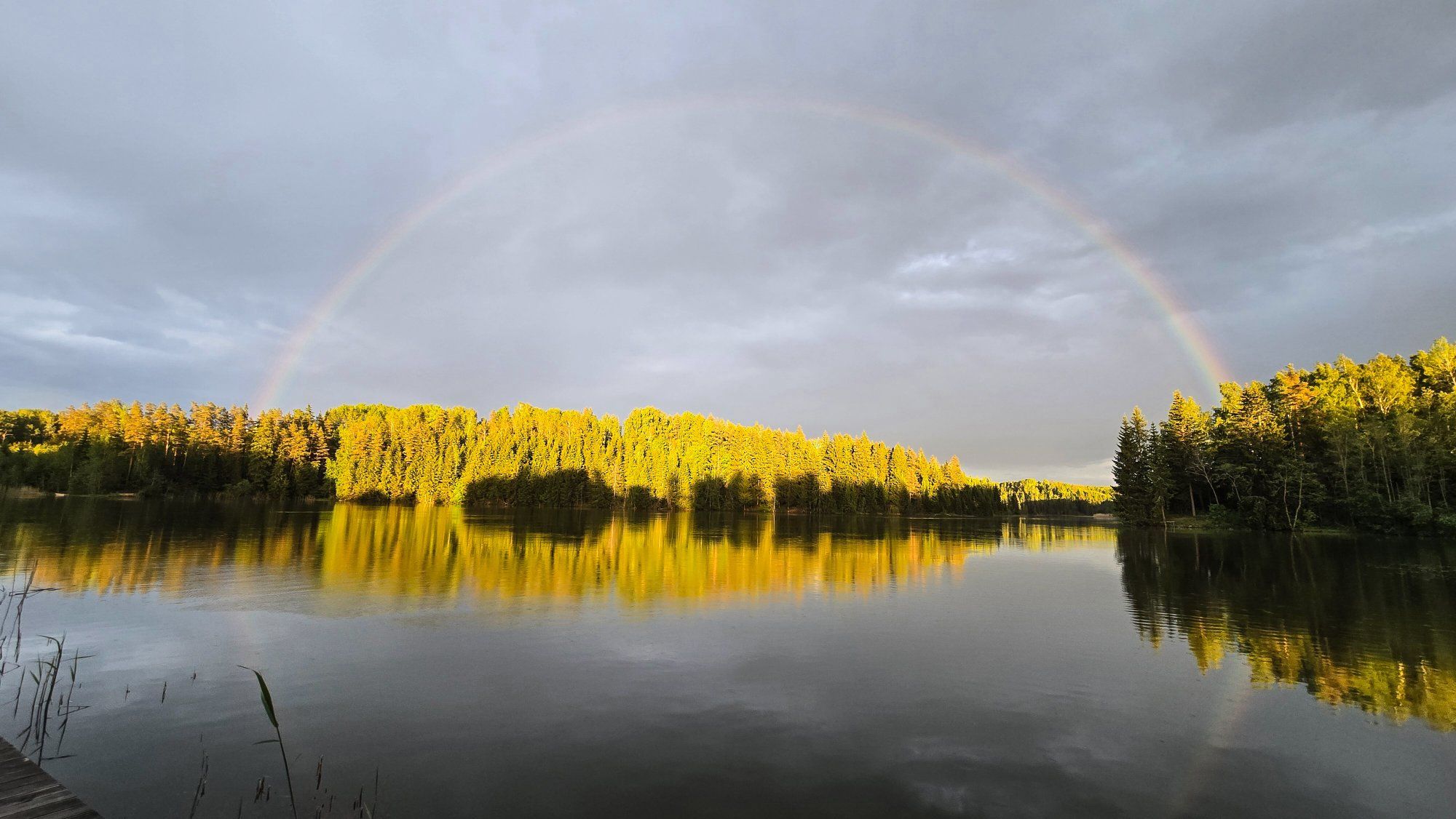 Kullapaja all