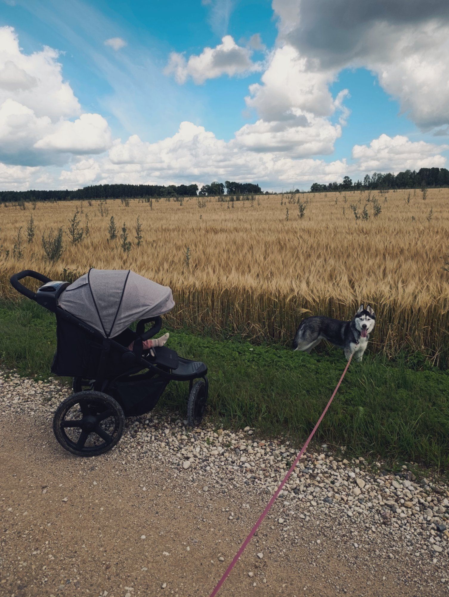Suvi kodupõldude vahel