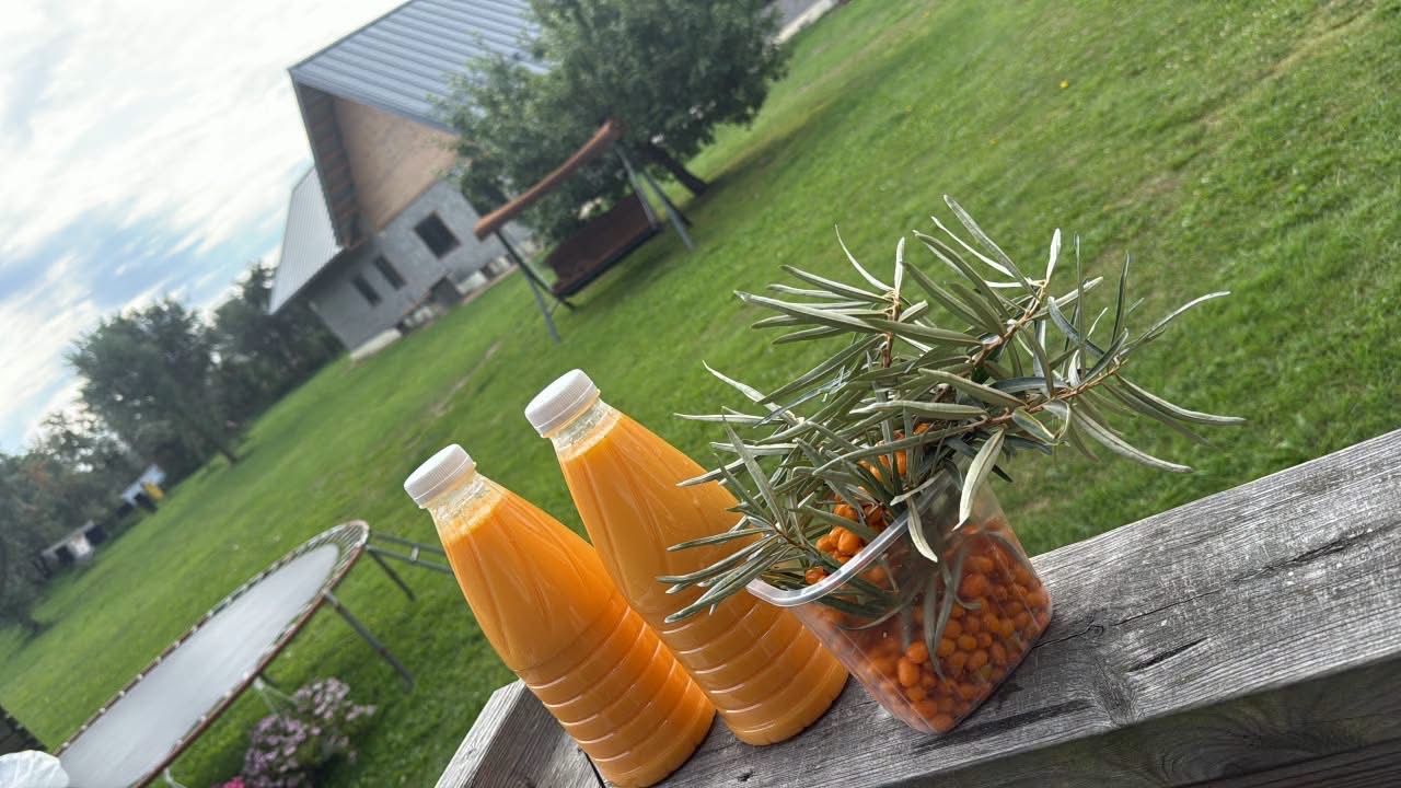 Astelpaju - c-vitamiin oma ajas