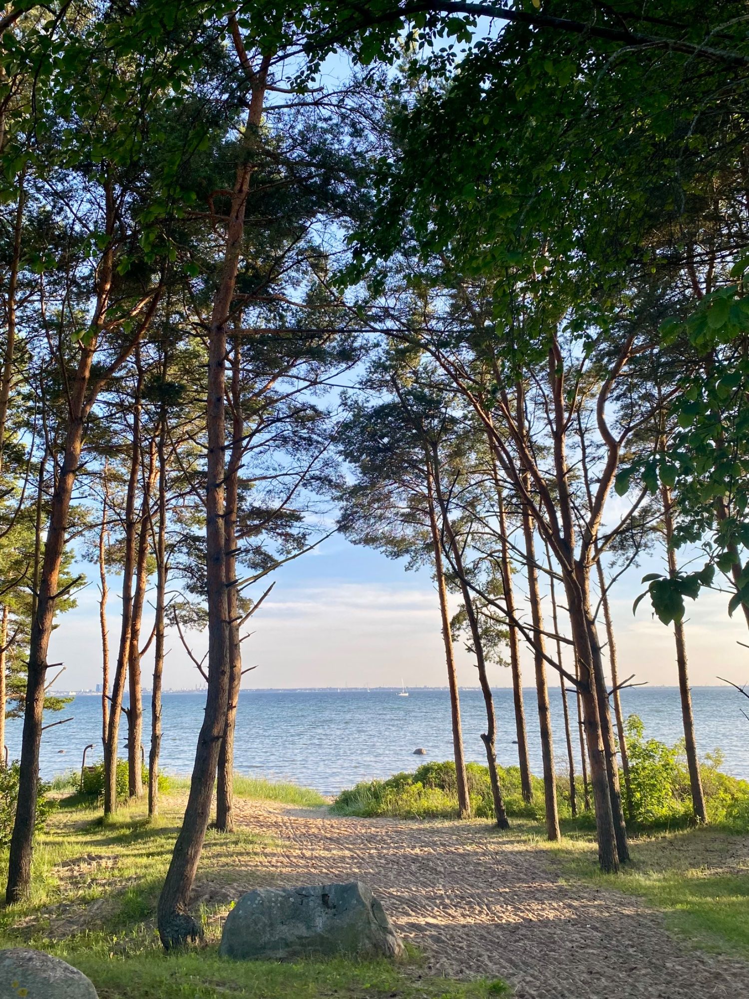 Ilus eesti suvi 3