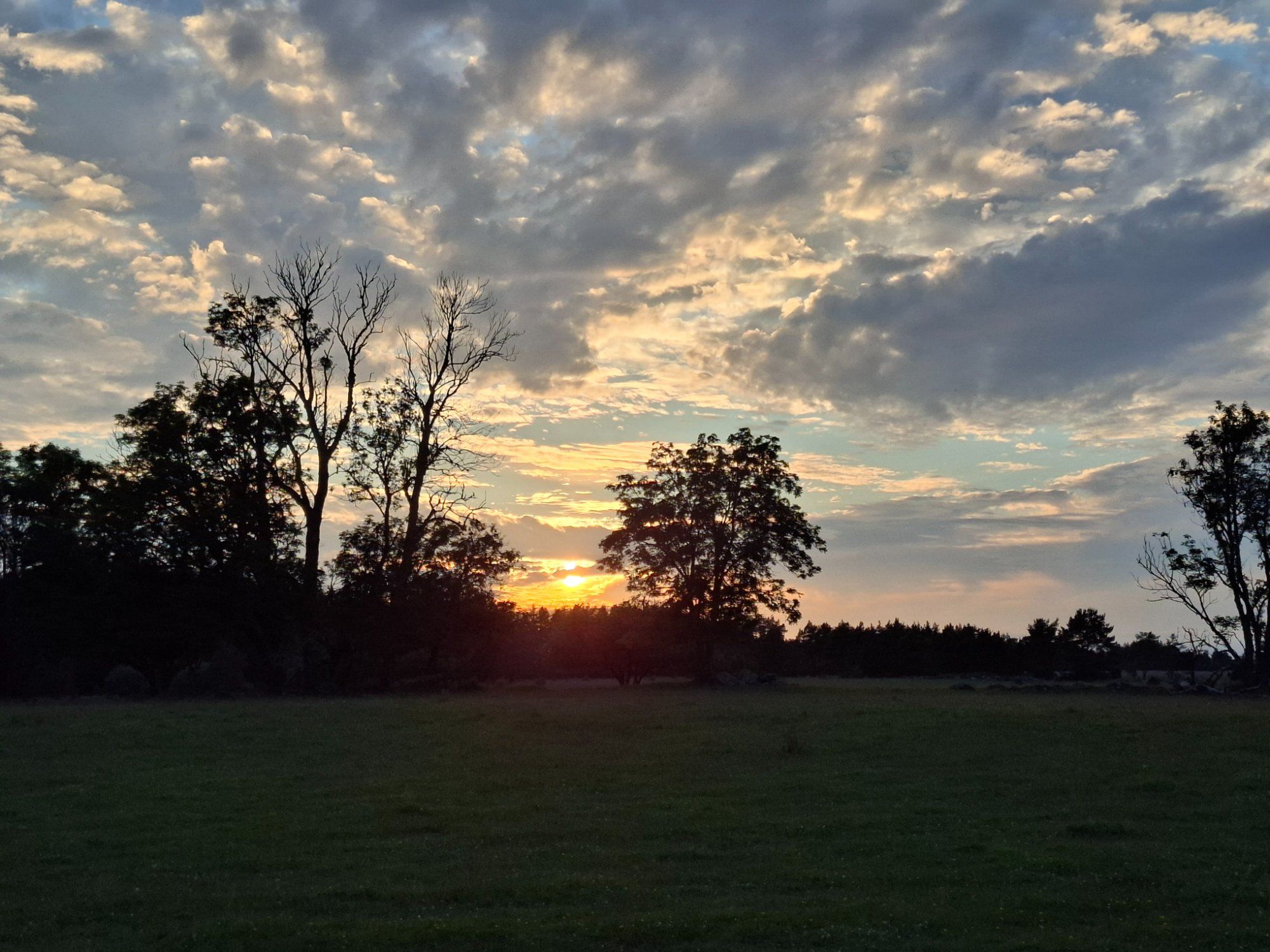 Päikeseloojang
