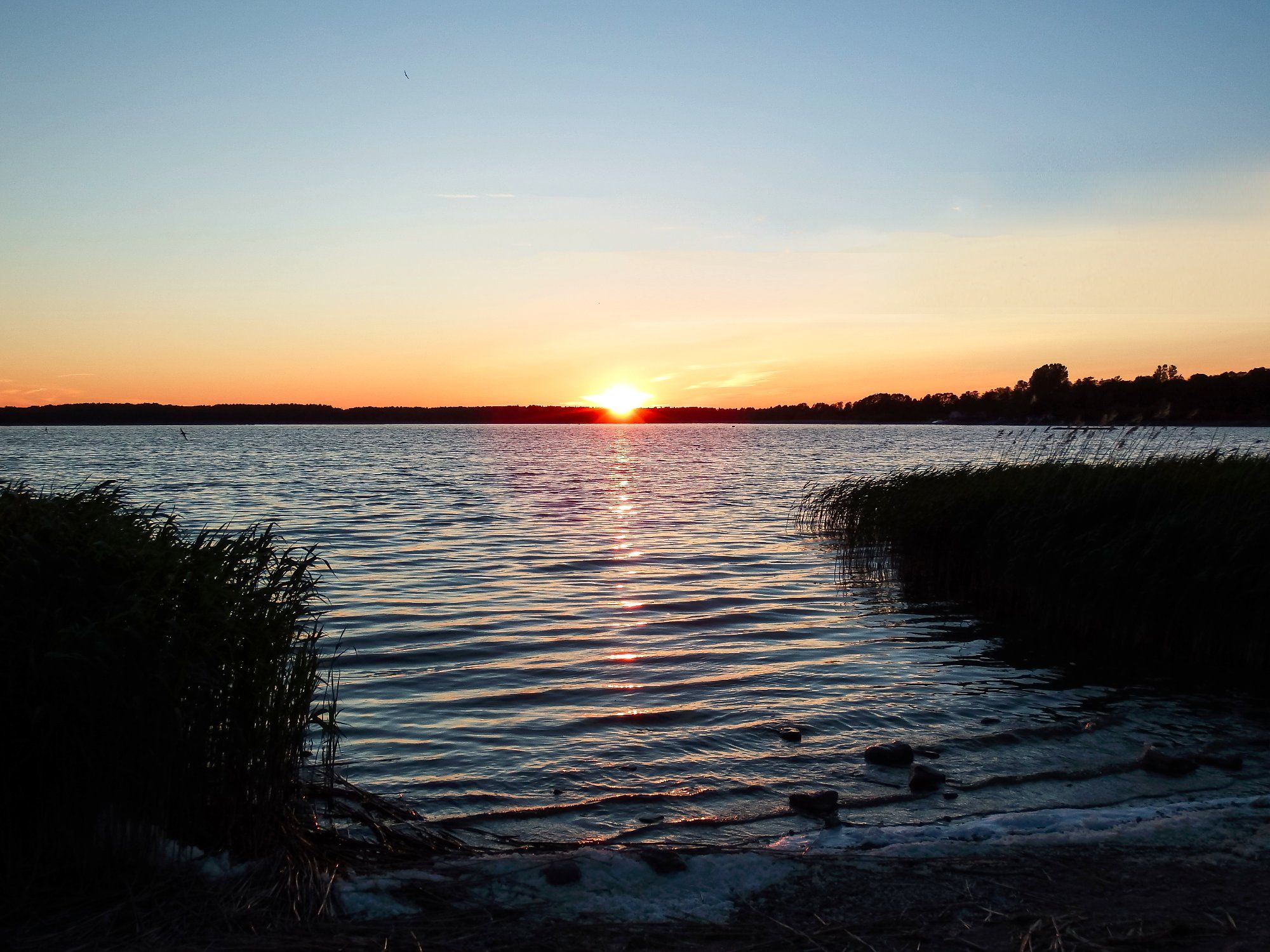 Loojang