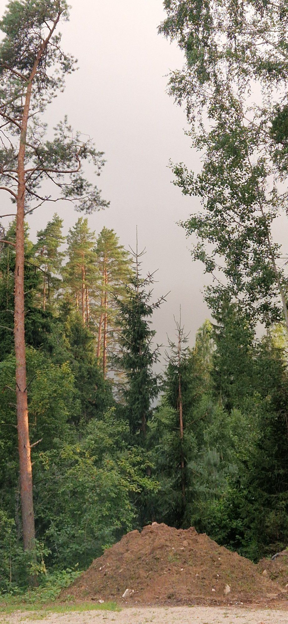 Äikese eelne vaade.