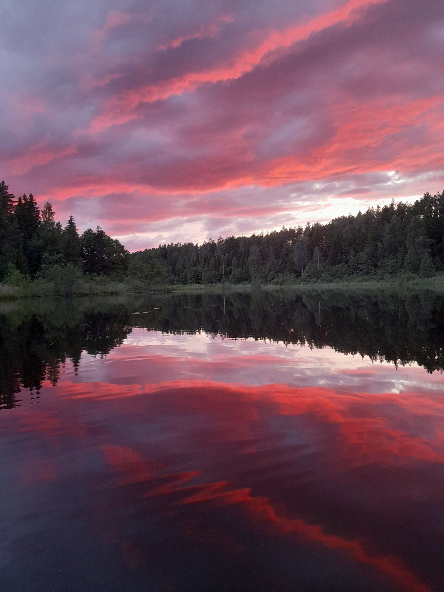 Jaaniöö algus ühe Lõuna-Eesti metsade vahel asuval pisikesel järvel.