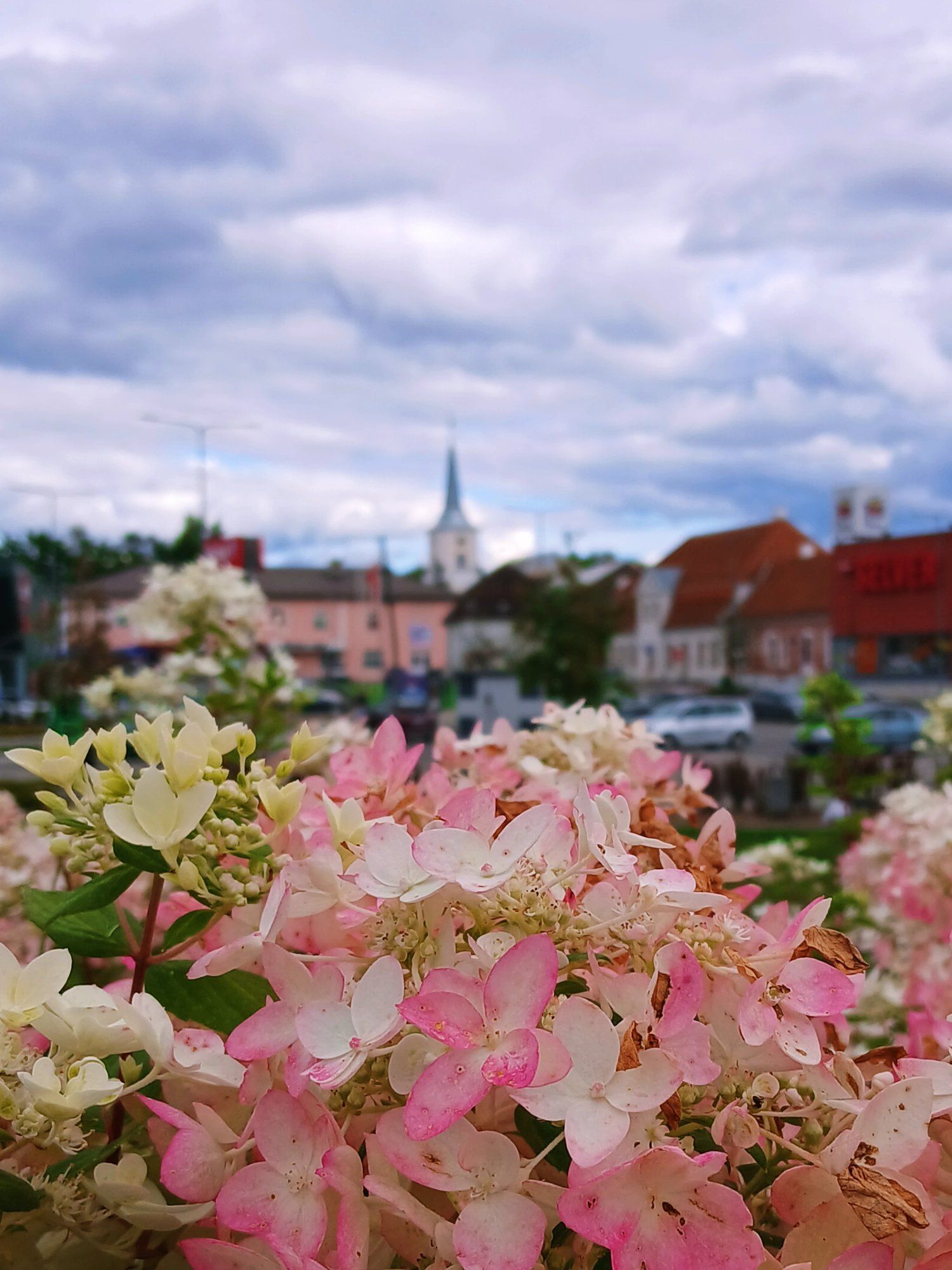 Jalutuskäik õhtul ☀