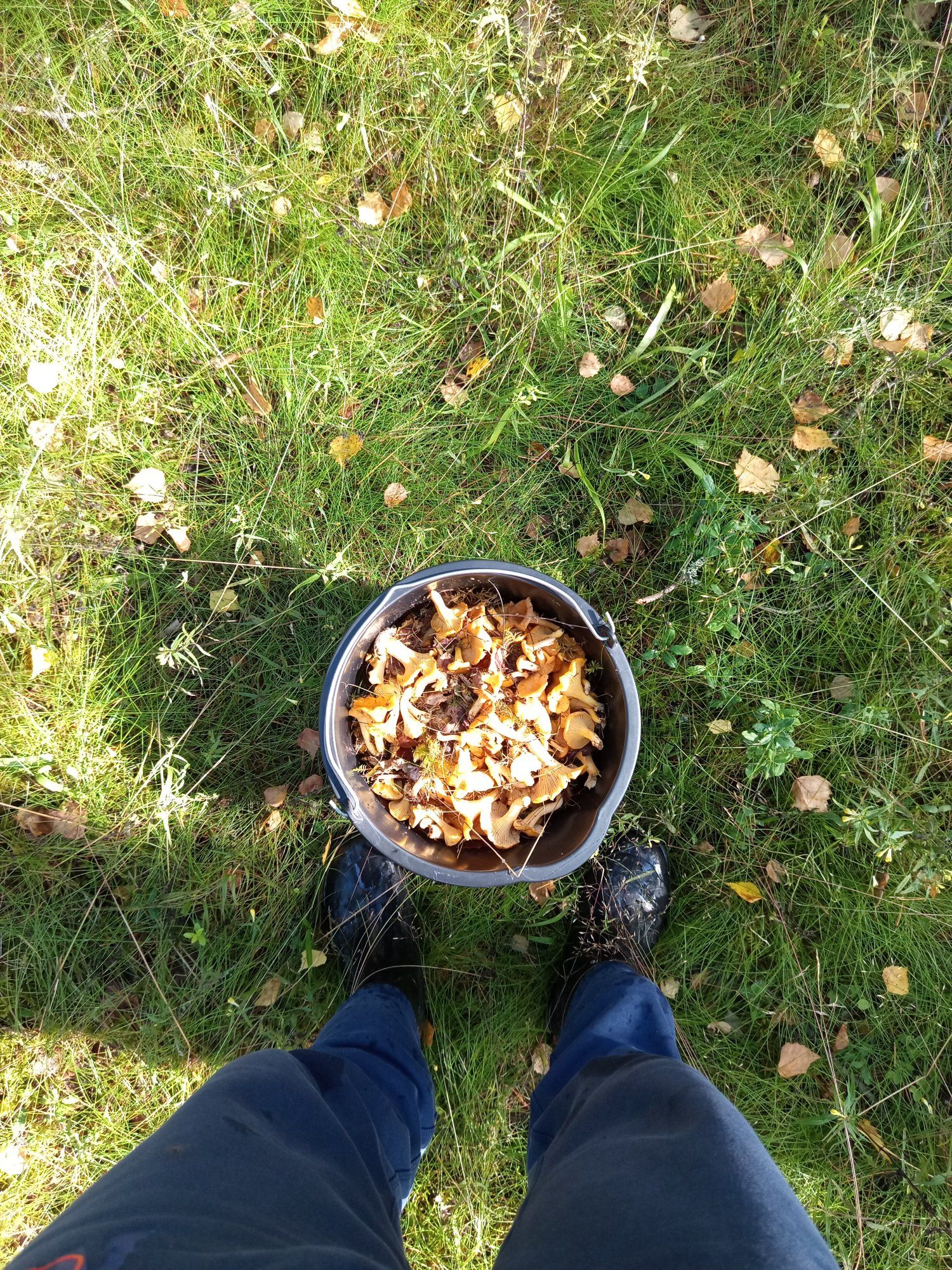 Natuke kukeseeni
