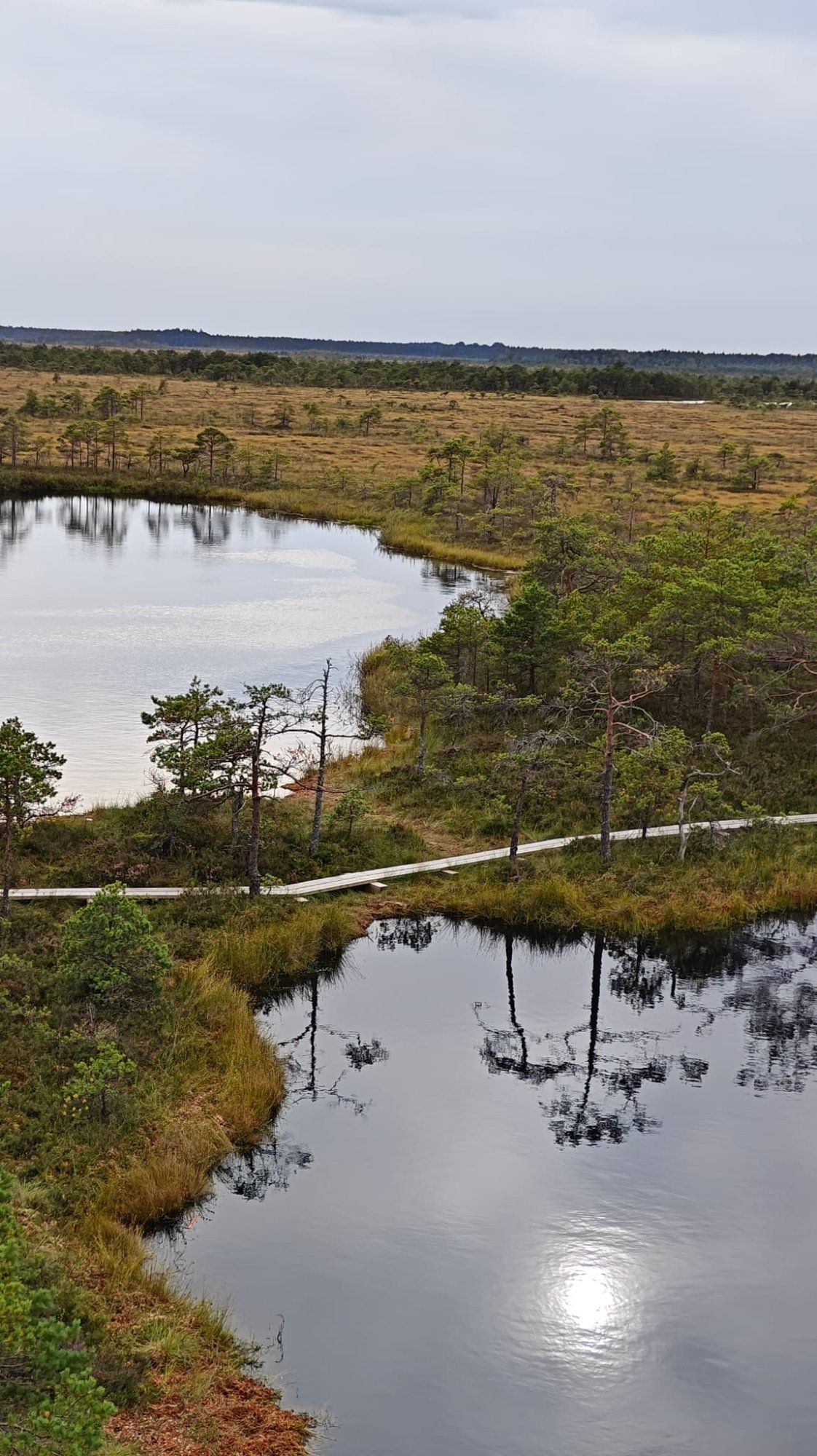 Eesti RABAv loodus