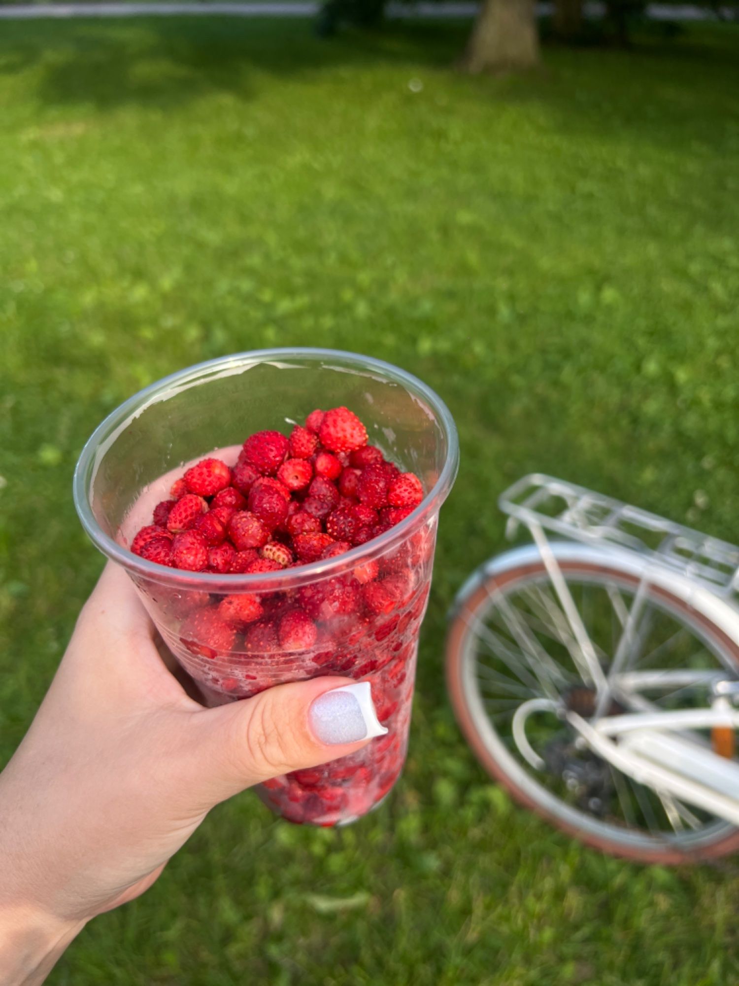 Ilus suvi päev ❤️