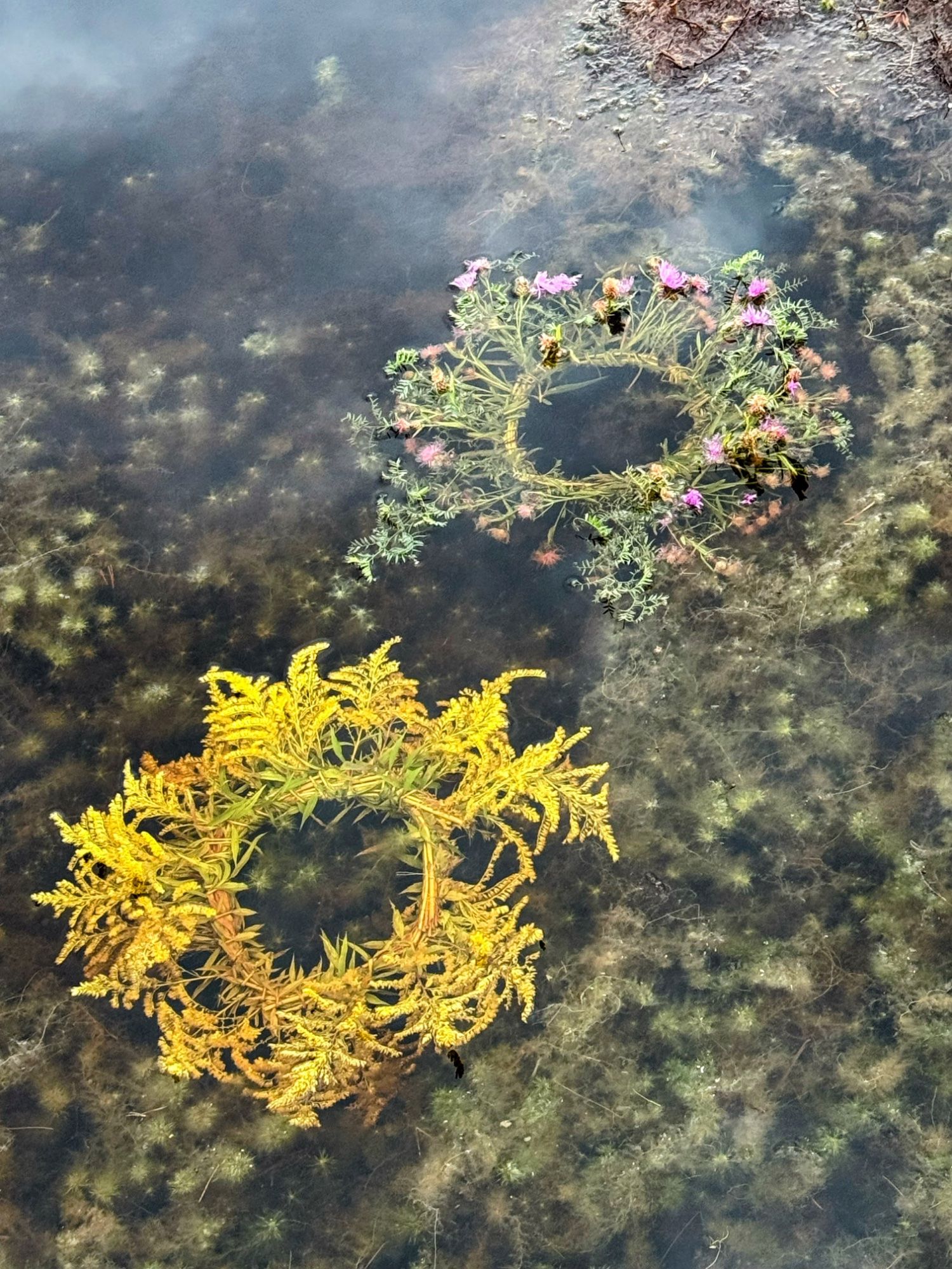 Rabaromantika