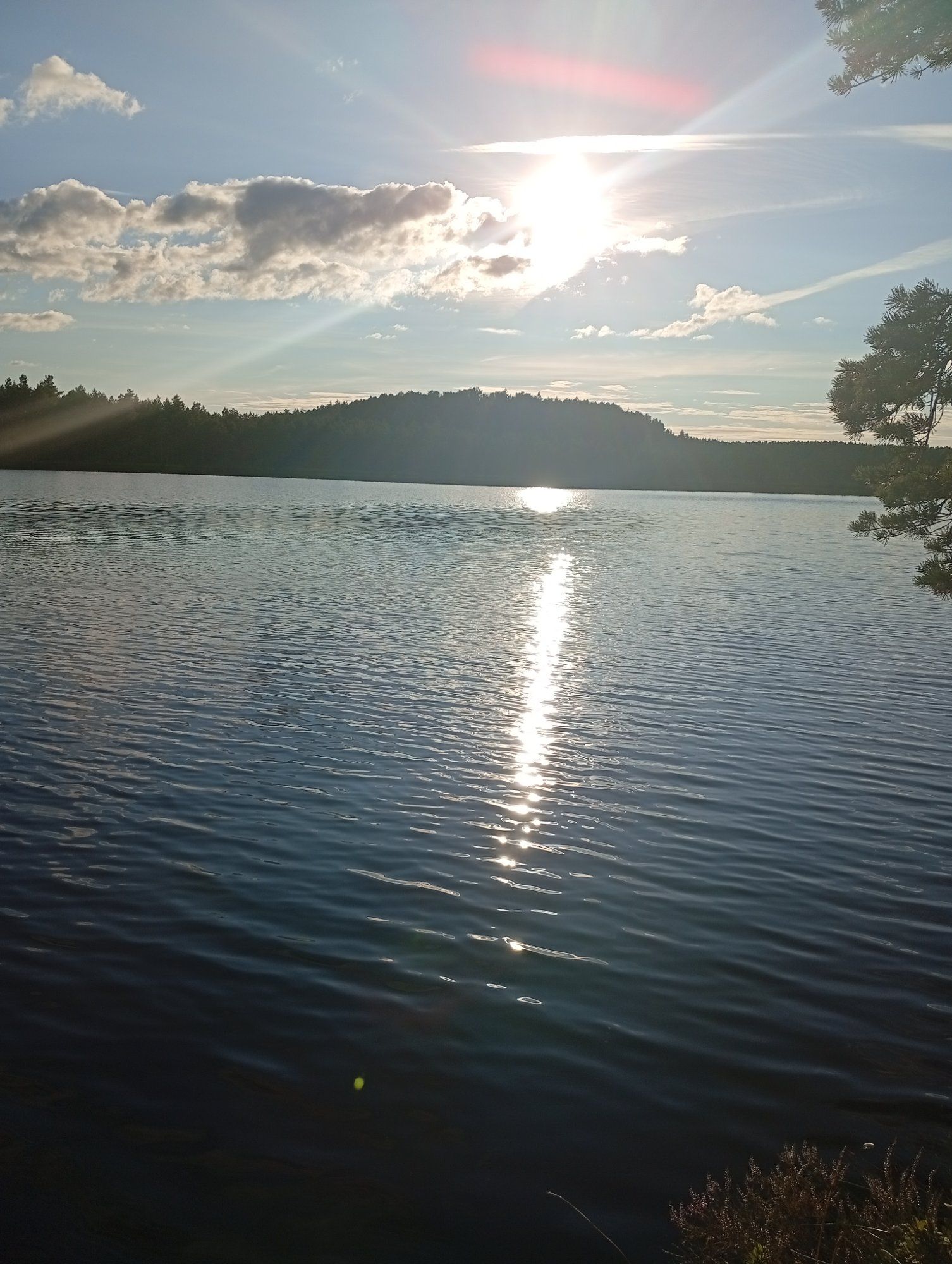 Jalutuskäik soojärve ääres 