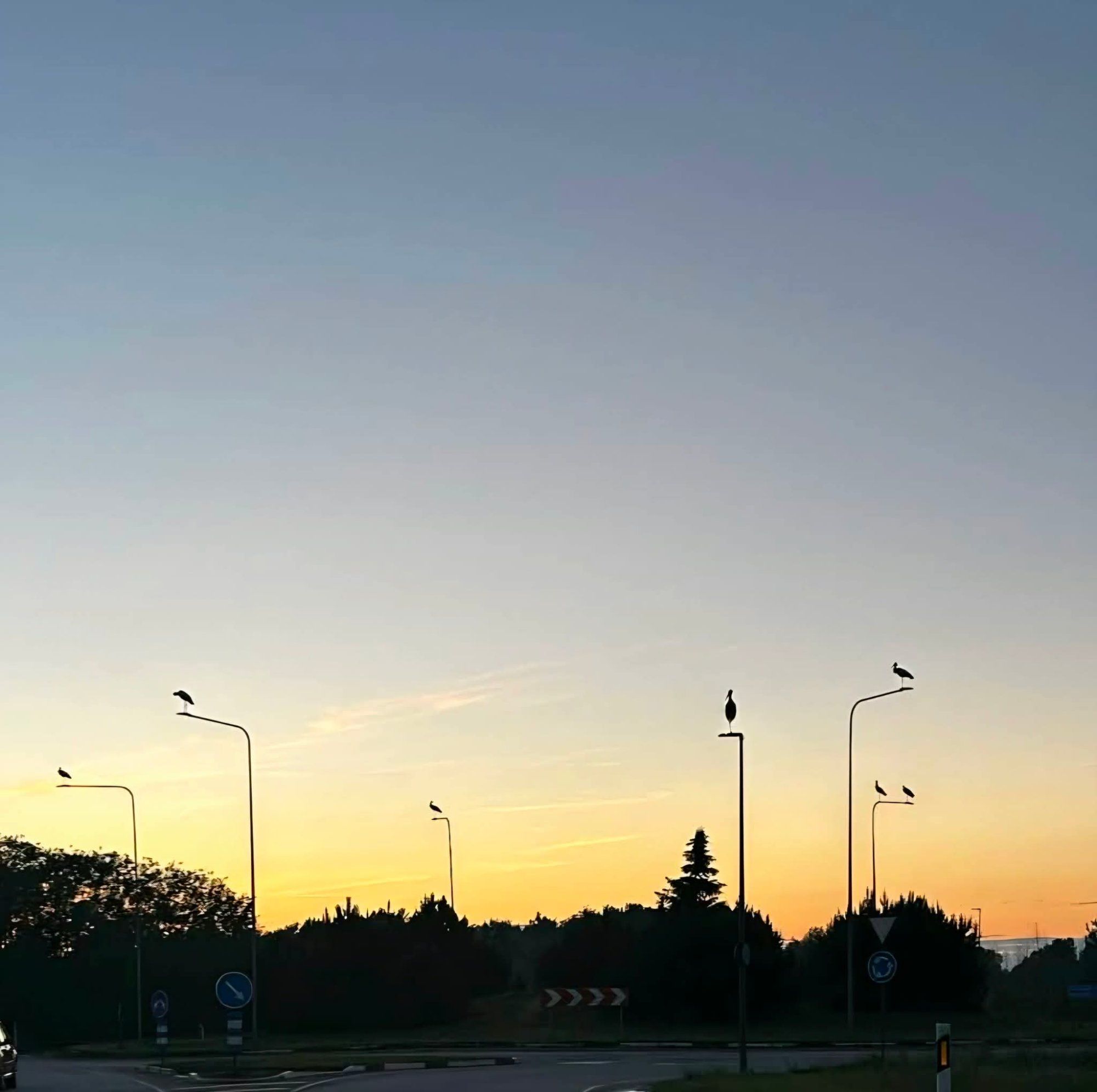 Tugevdatud liiklusvalve Viljandi ringteel!