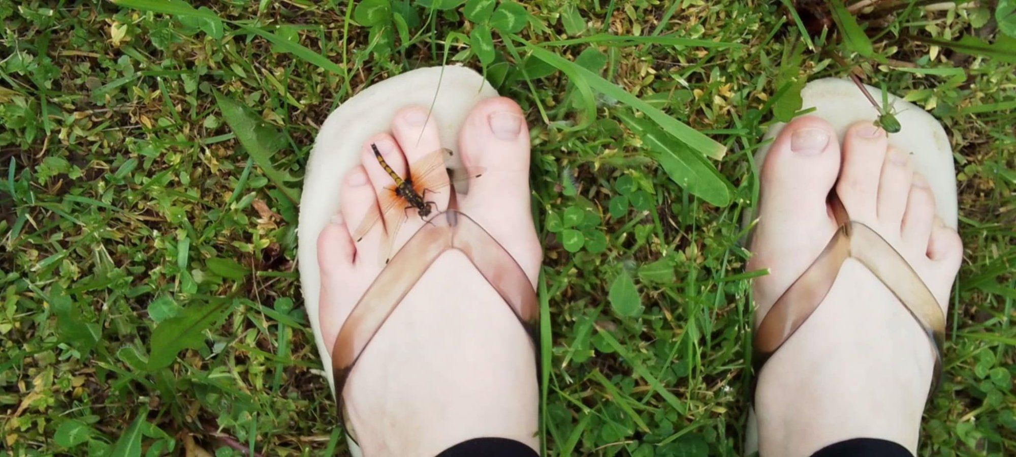Julge kiil puhkab varbal.