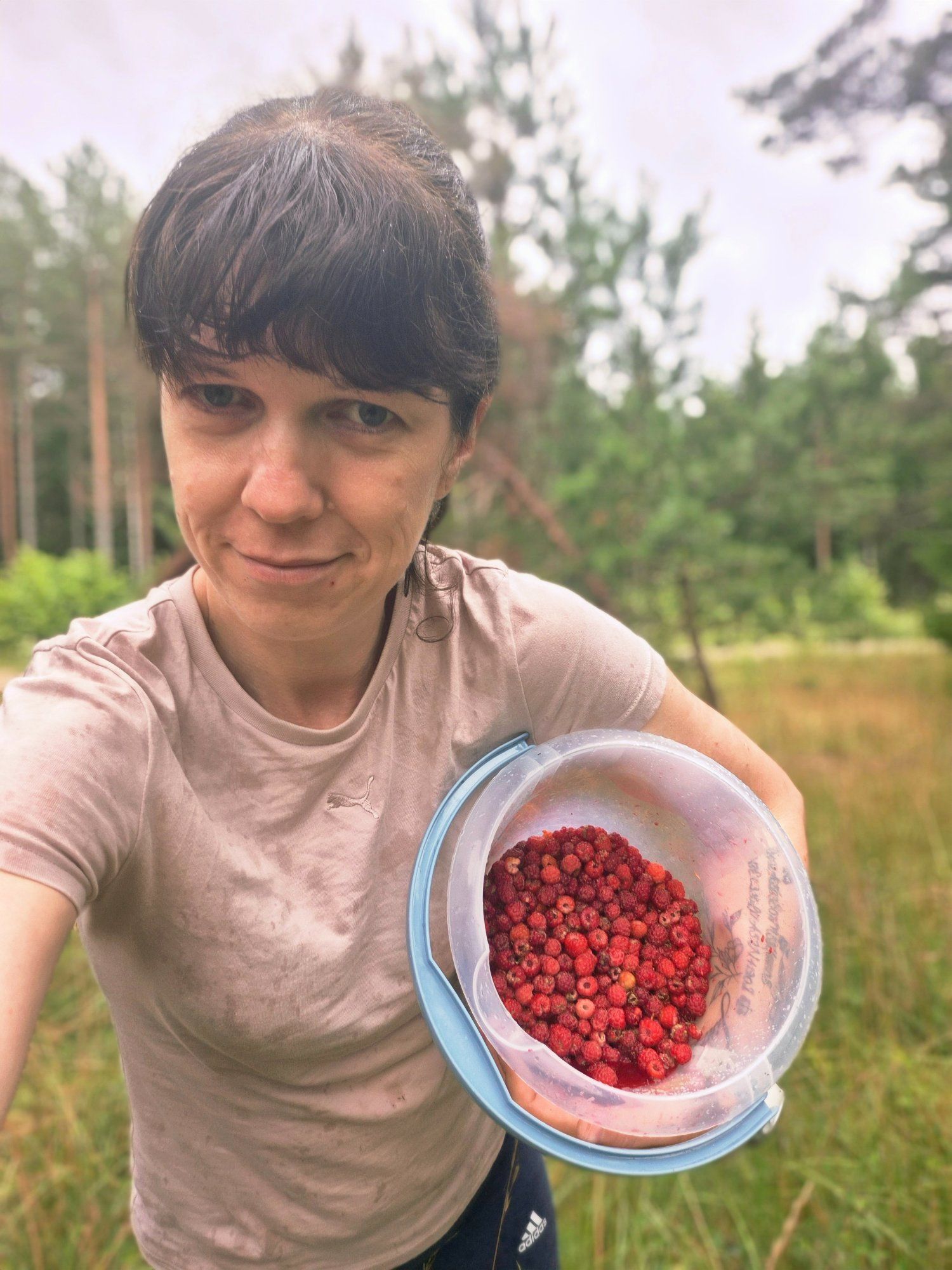 Vaarika raksus