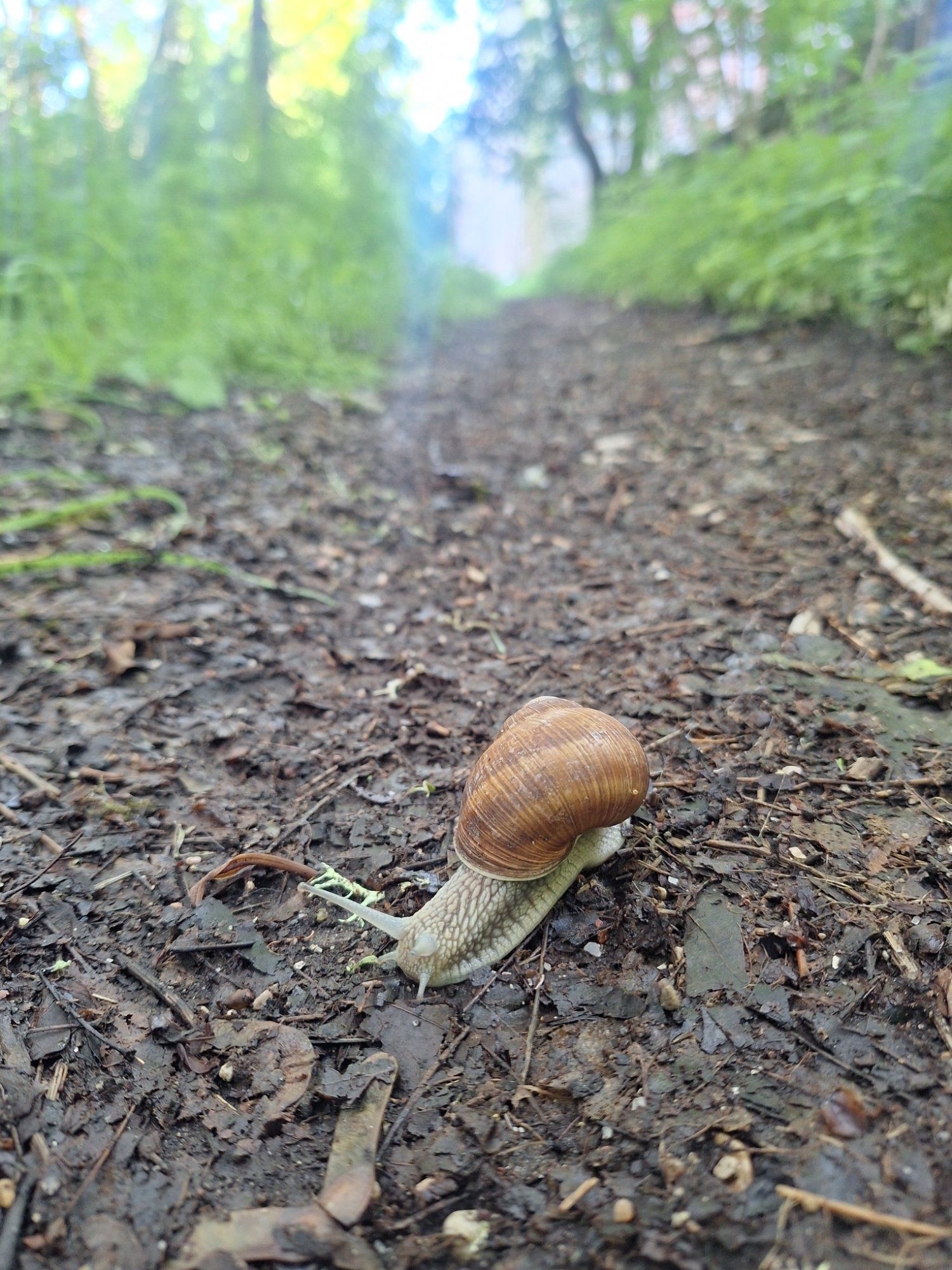 Teekond