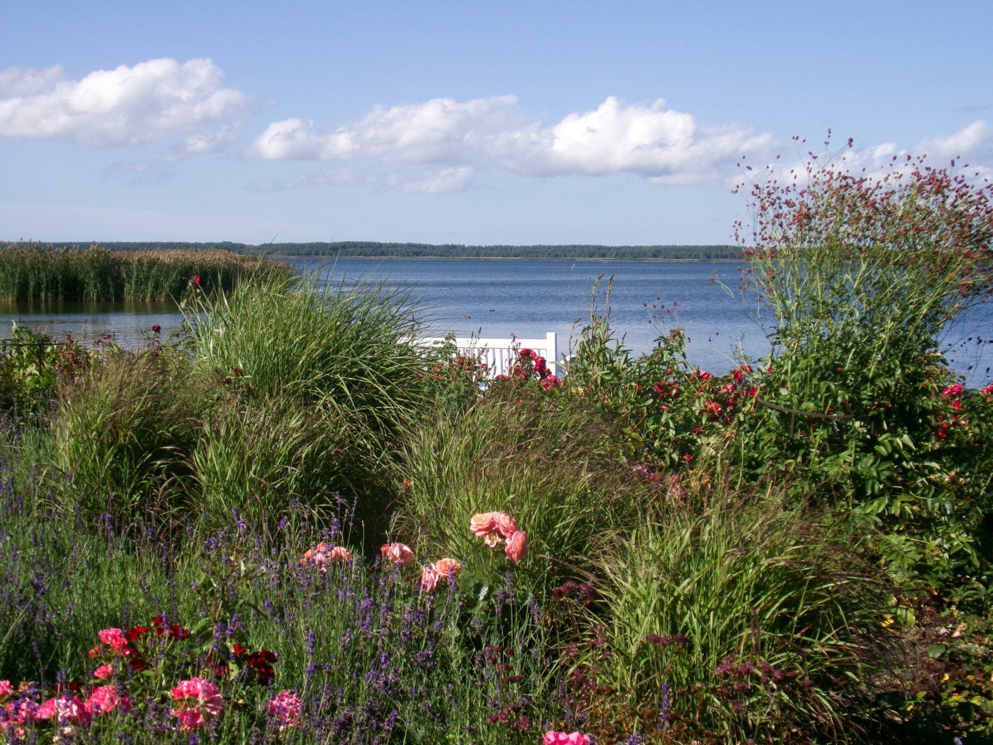 August Haapsalu promenaadil.